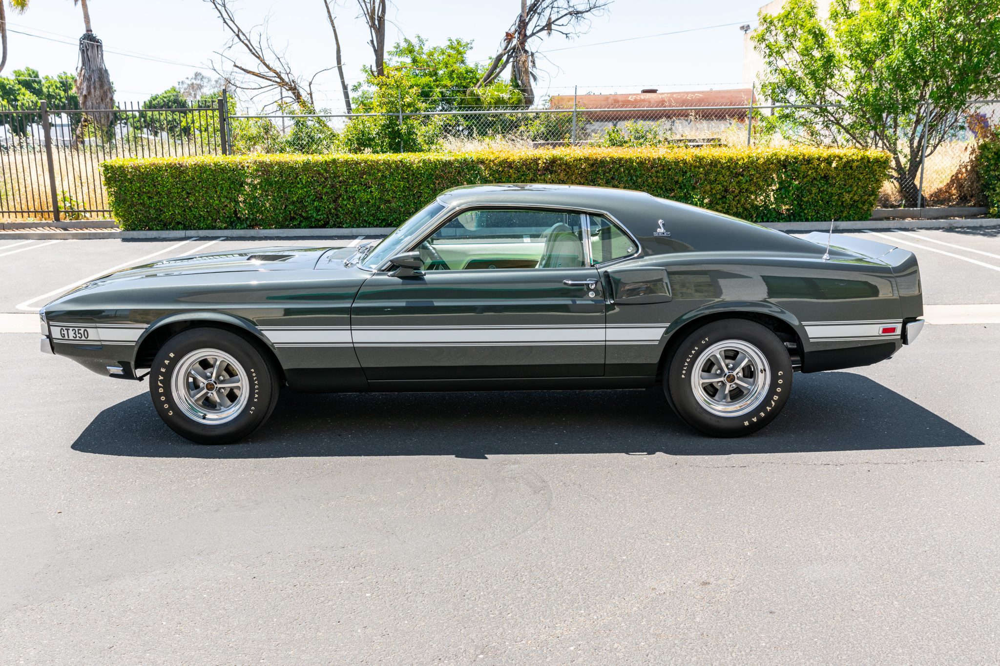 1969 Shelby Mustang GT350 & GT500 
