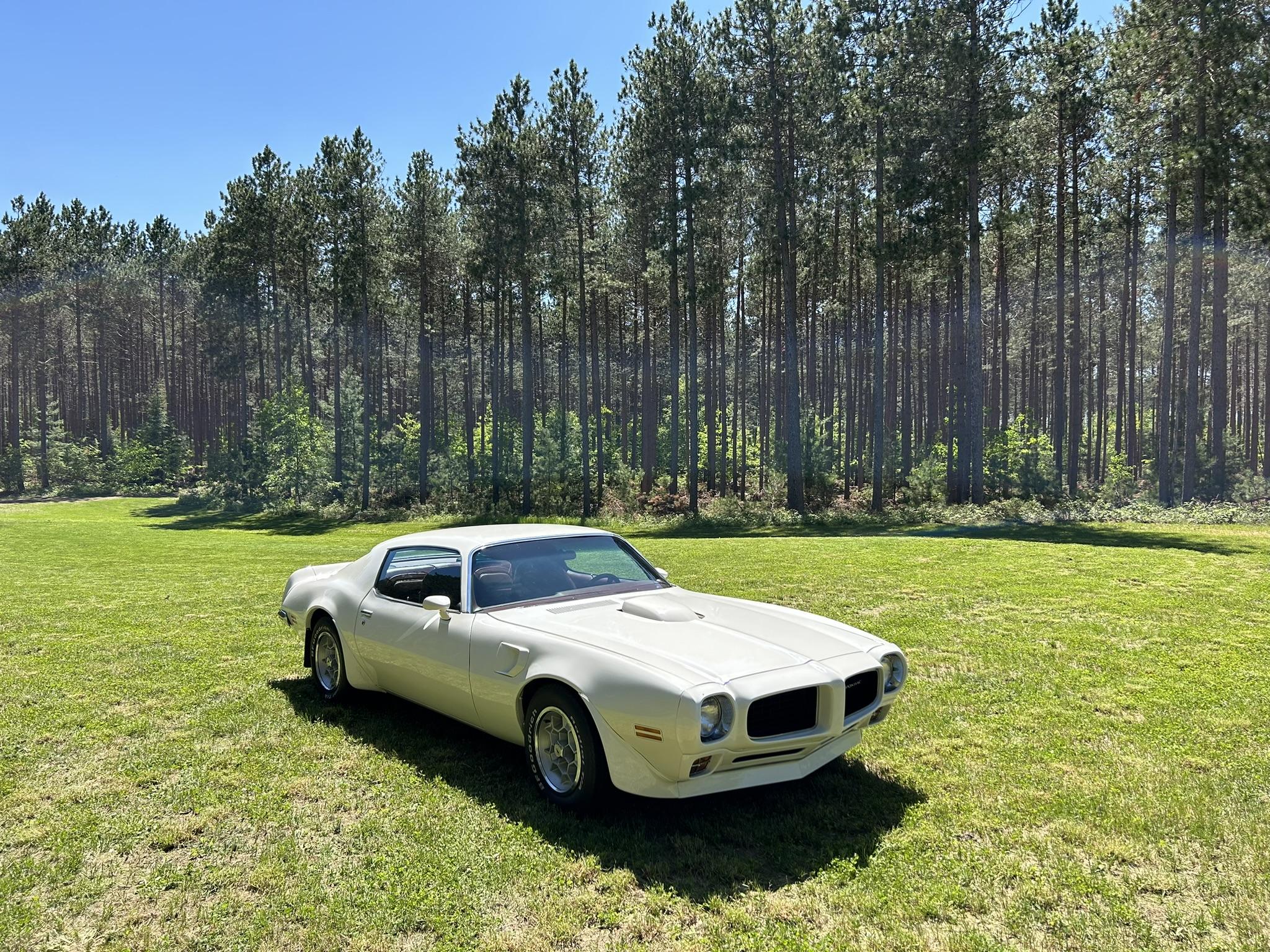 1973 Pontiac Firebird (1970-1981) 