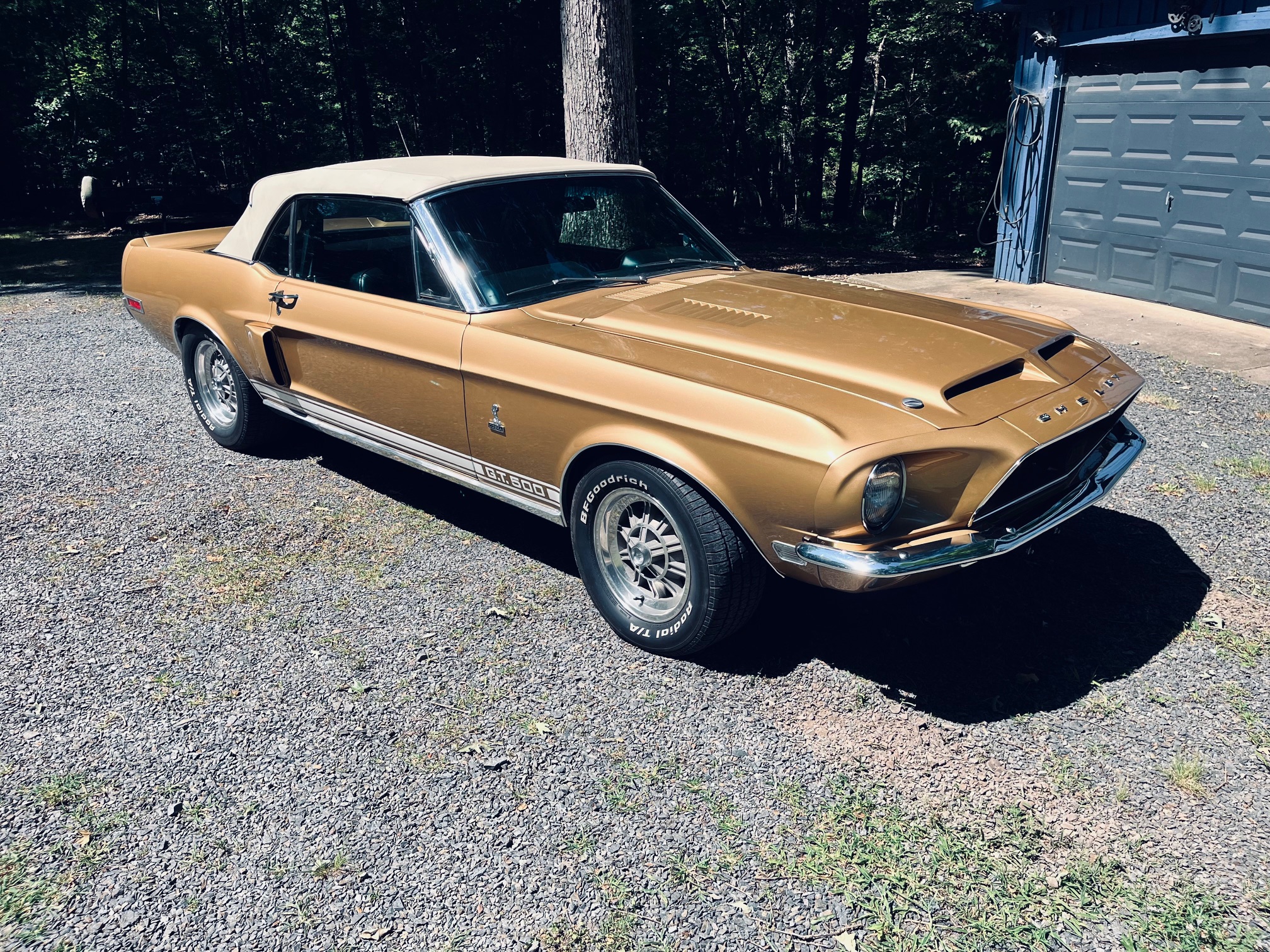 1968 Shelby Mustang GT350 & GT500 