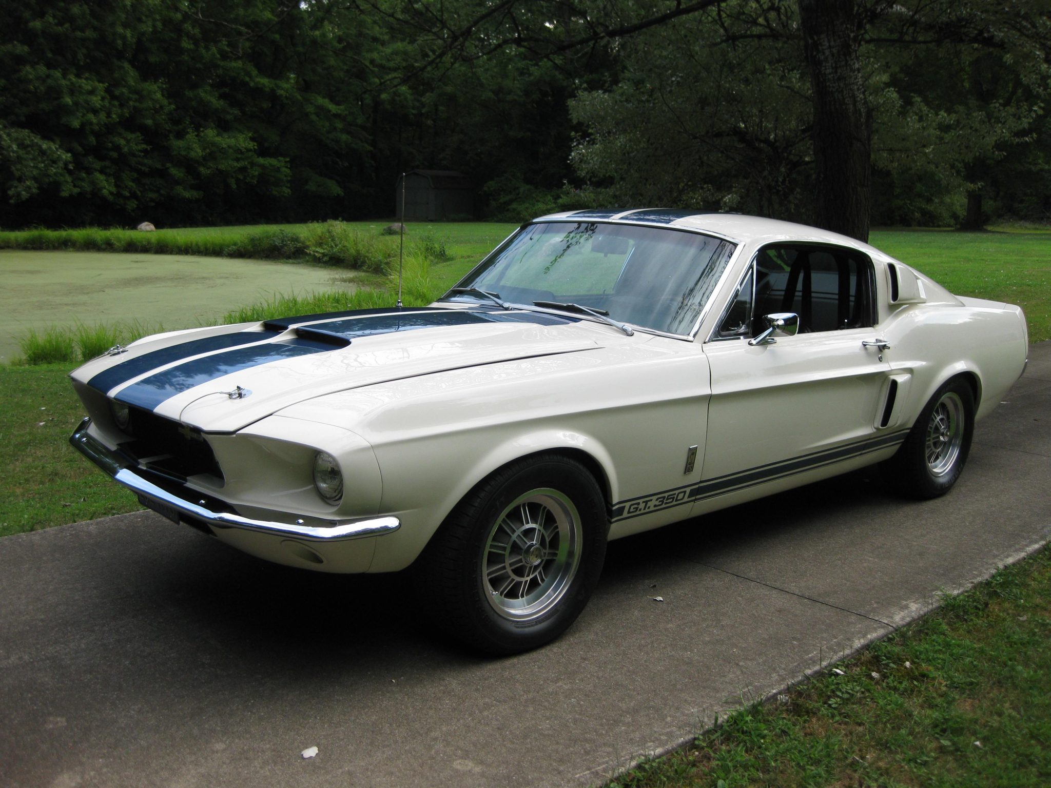 1967 Shelby Mustang GT350 & GT500 