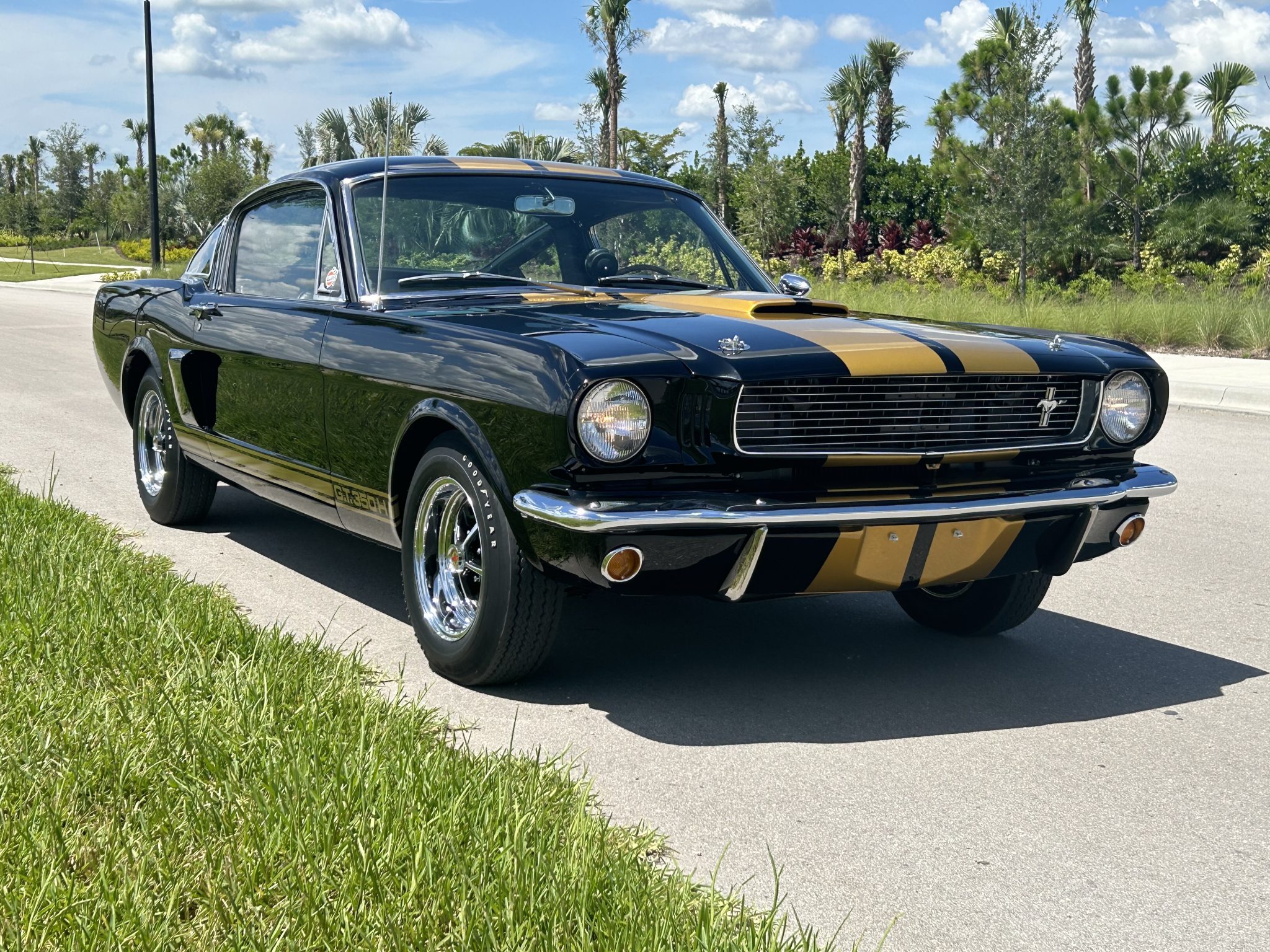 1966 Ford Mustang 1964.5-1966 
