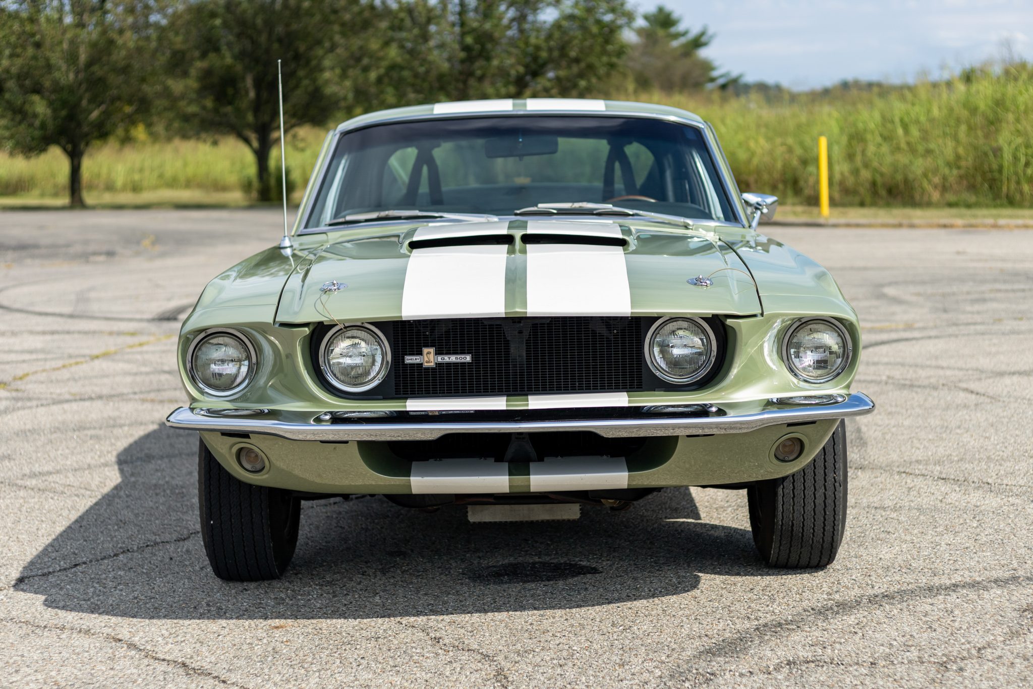 1967 Shelby Mustang GT350 & GT500 