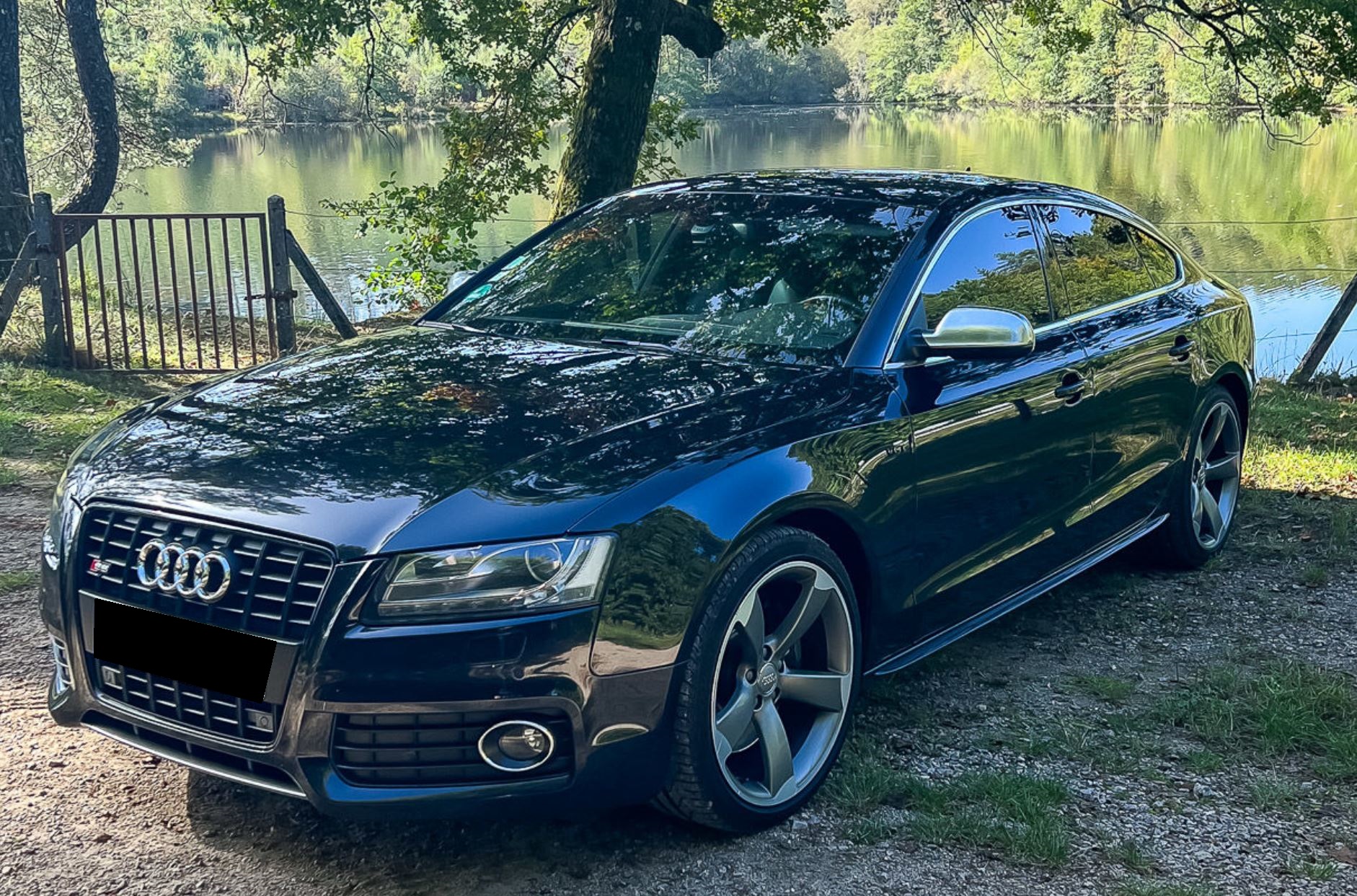 2011 Audi S5