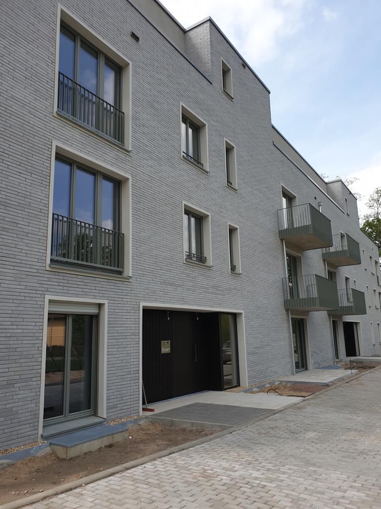 Wohnung zur Miete