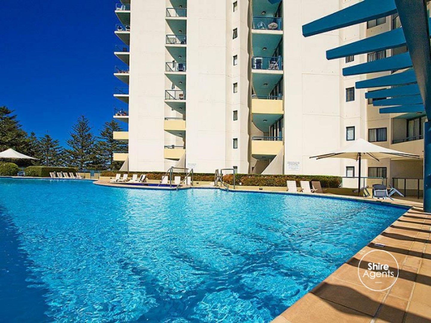 Apartment / Unit / Flat for rent