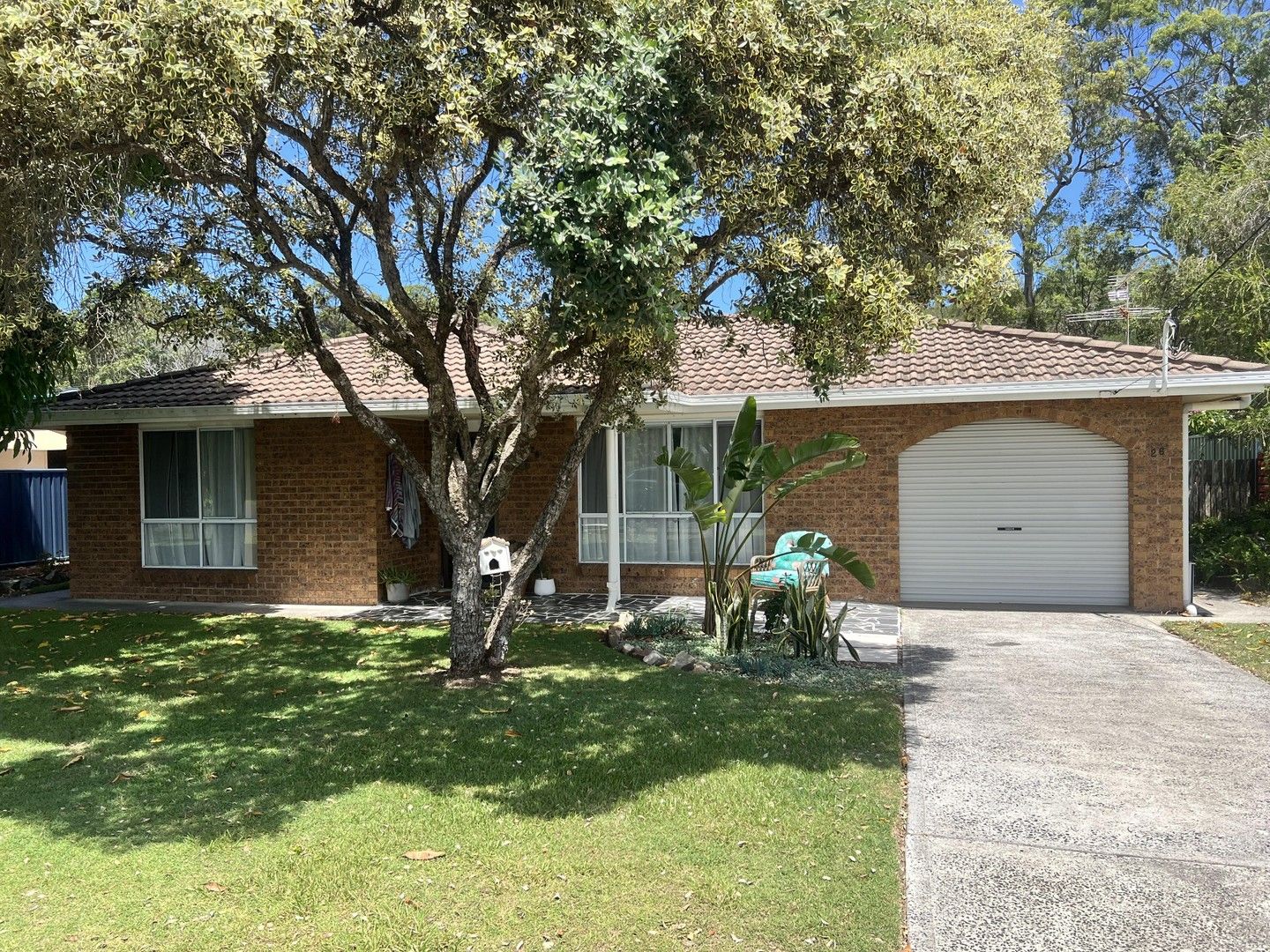 House for rent