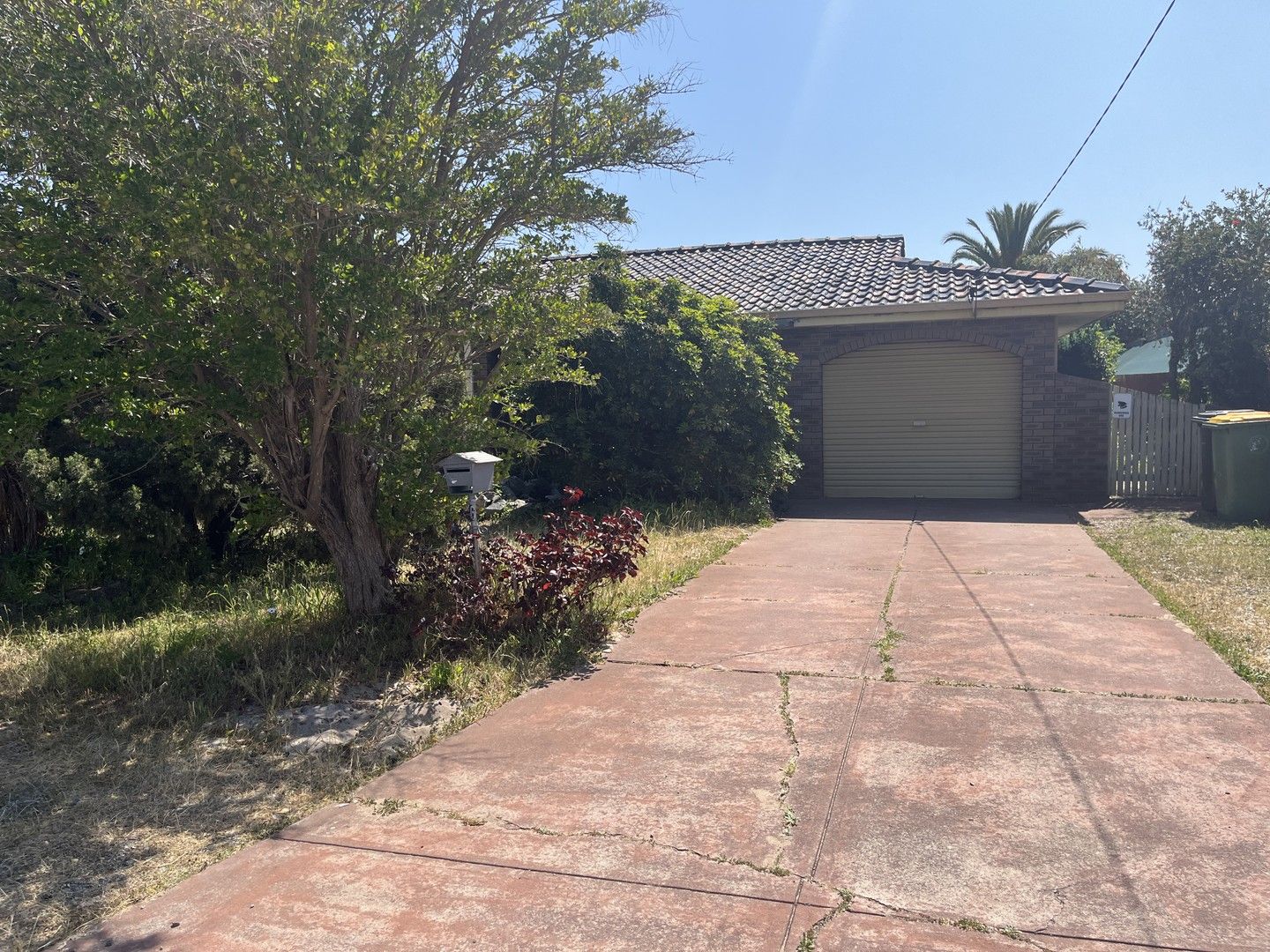 House for rent