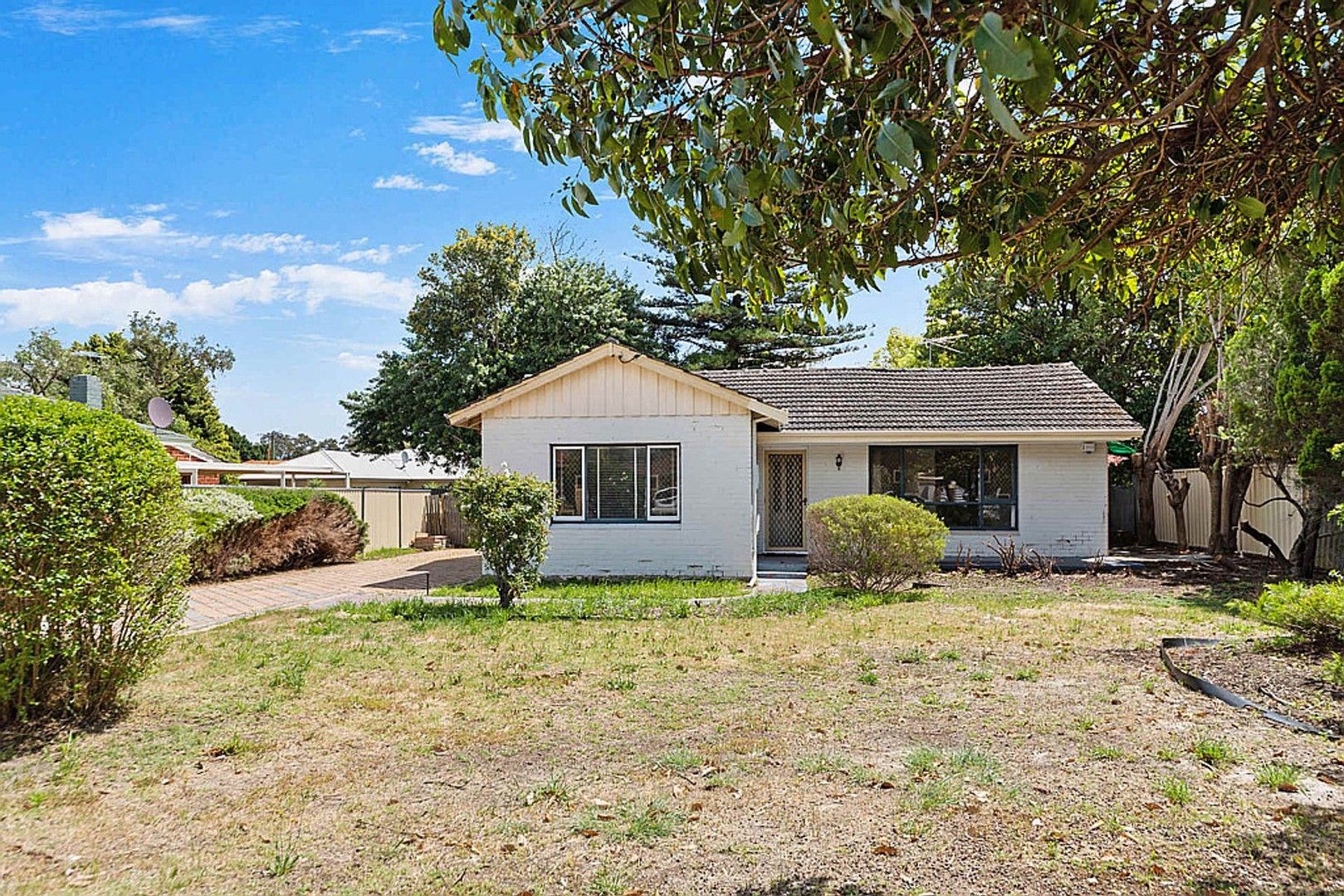 House for rent
