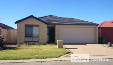 House for rent