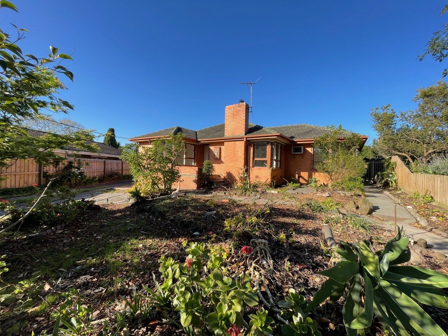 House for rent