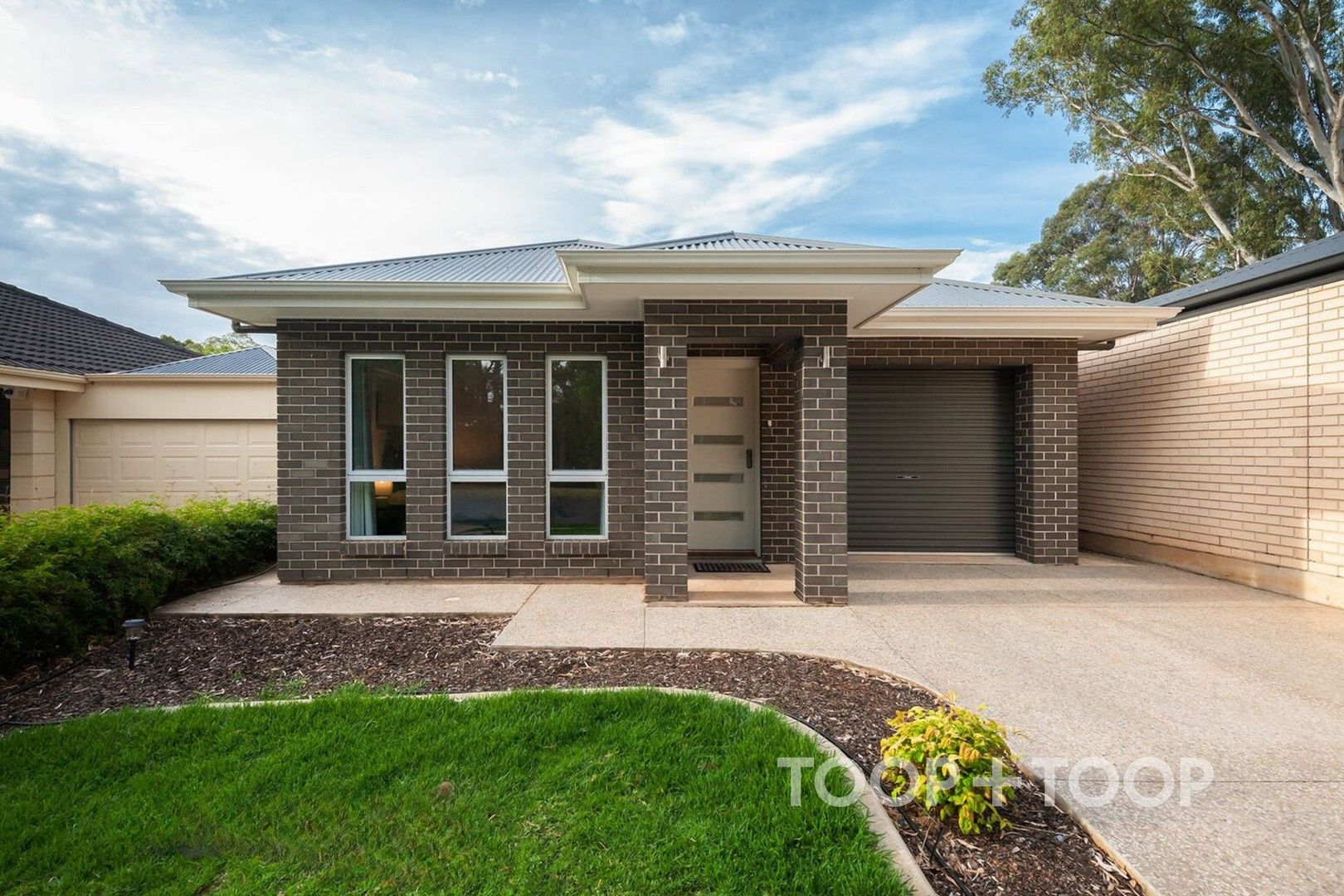 House for rent