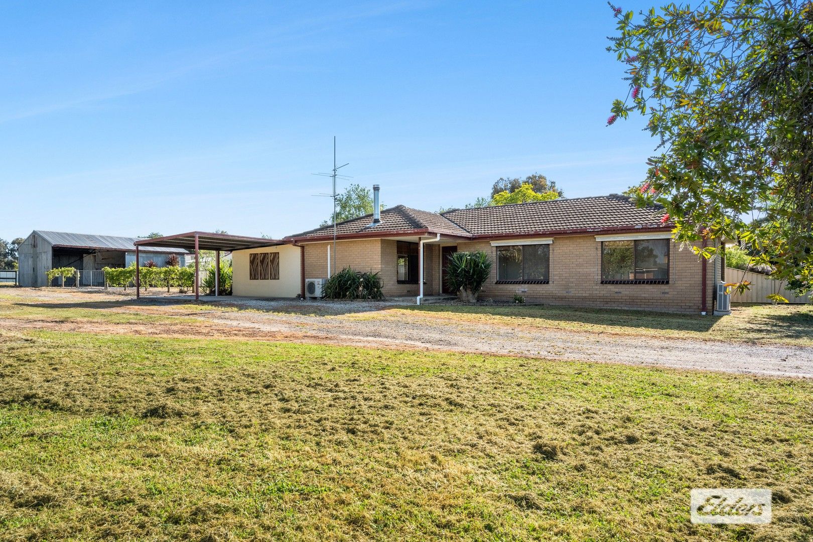 House for rent