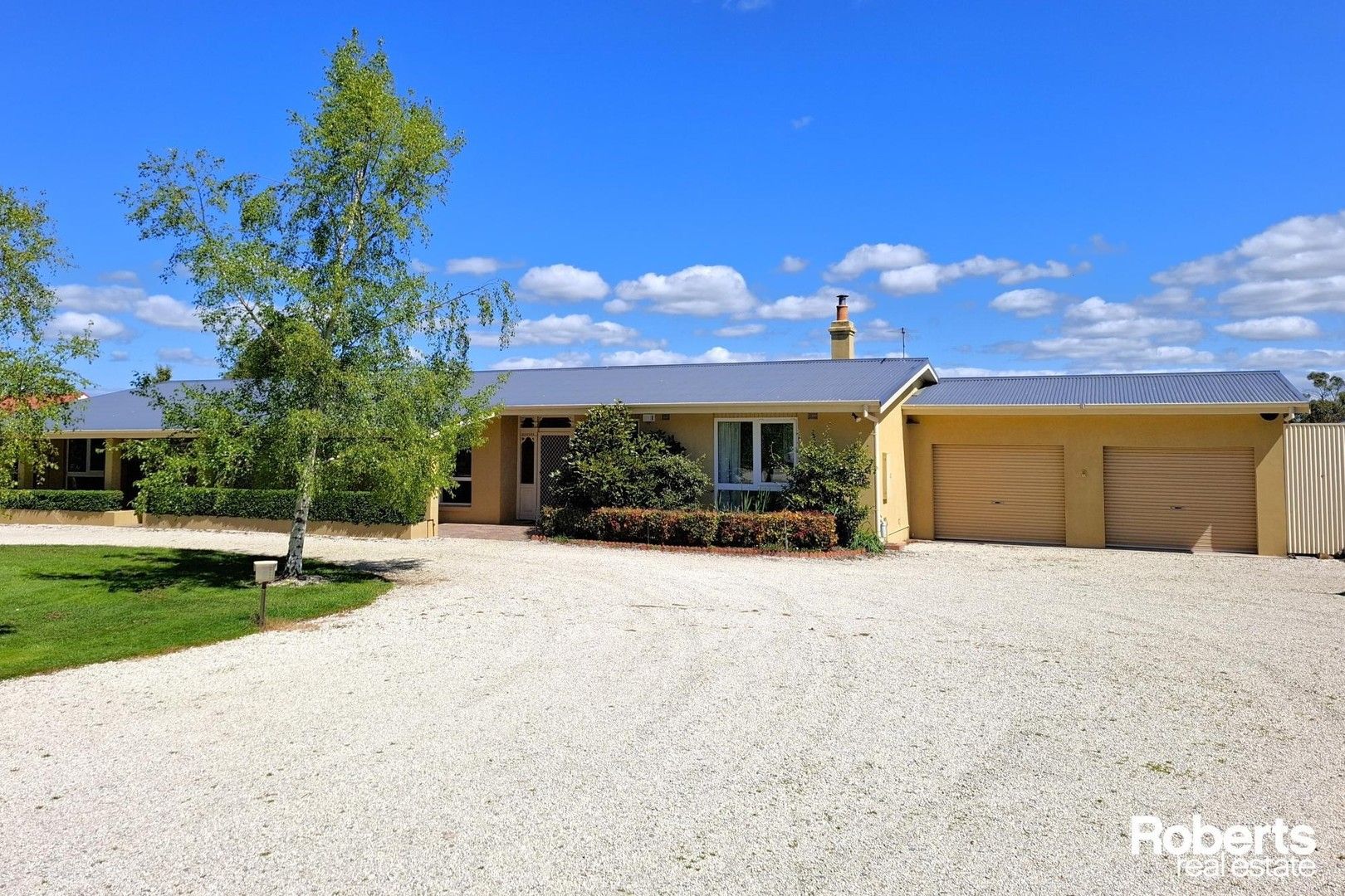 House for rent