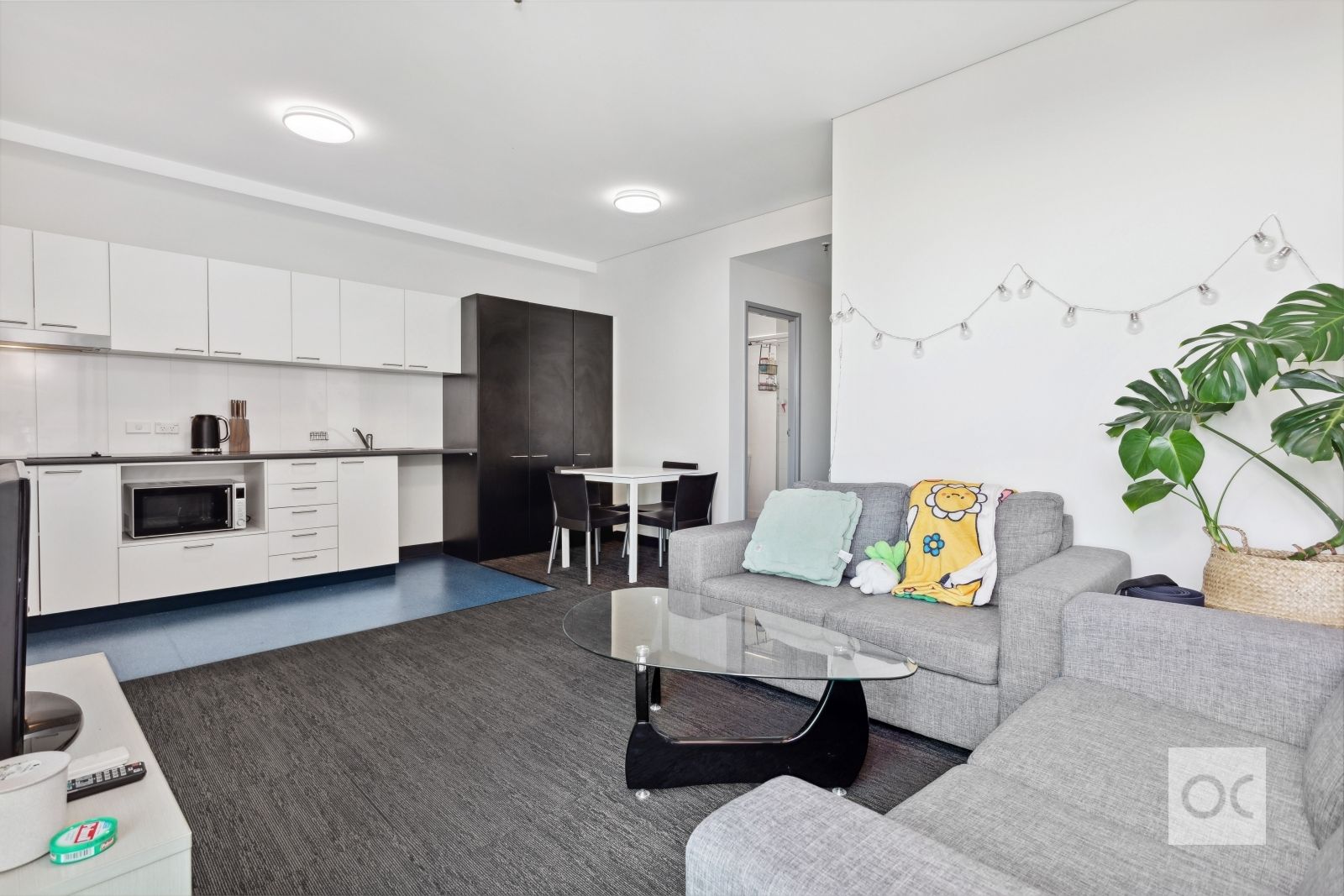 Apartment / Unit / Flat for rent
