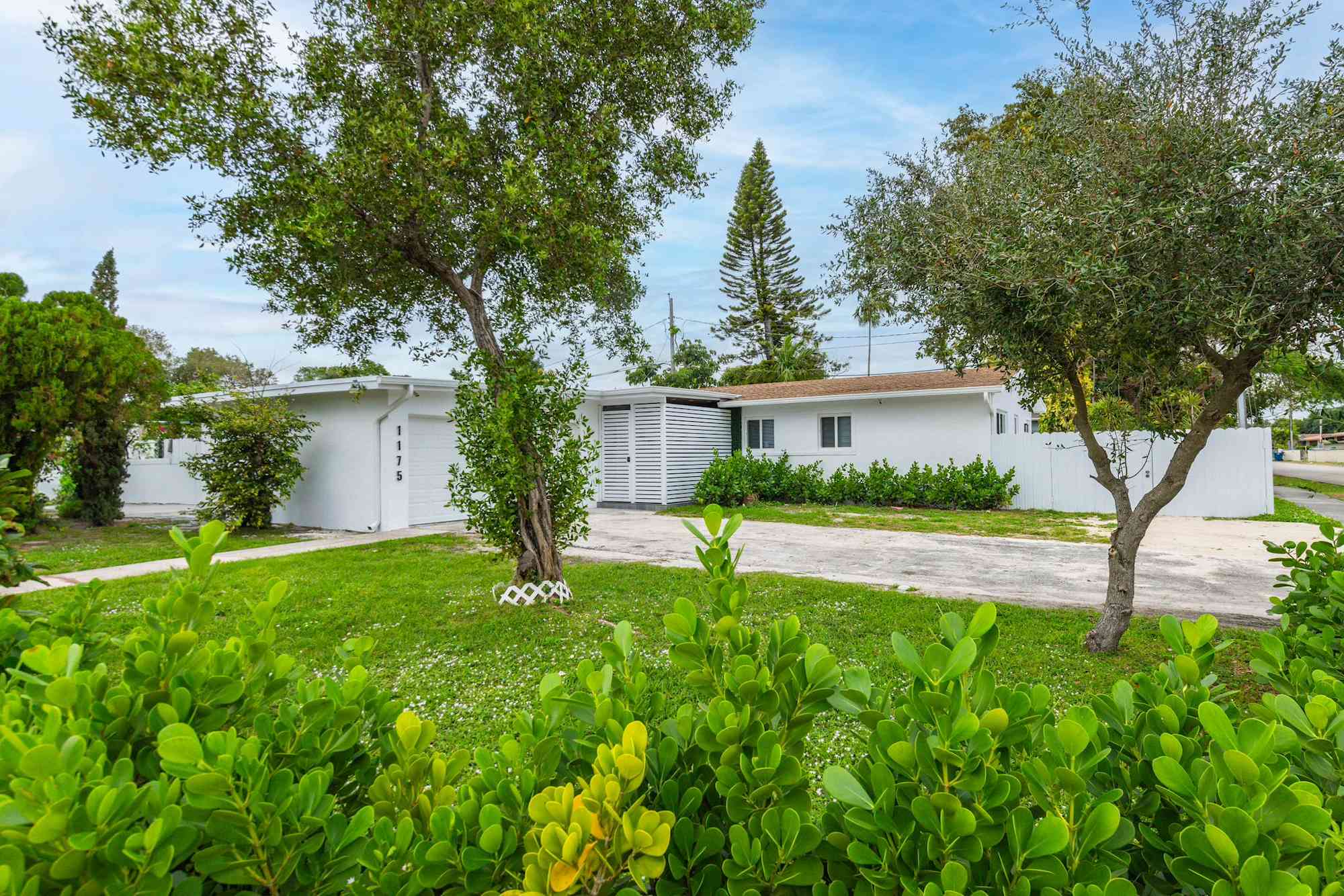 House for rent